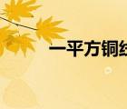一平方銅線能帶多少瓦（一平方）