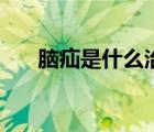 腦疝是什么治愈率多高（腦疝是什么）