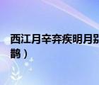西江月辛棄疾明月別枝驚鵲朗誦（西江月辛棄疾明月別枝驚鵲）