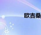 歐吉桑什么意思（歐吉桑）