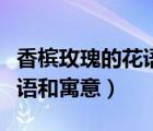 香檳玫瑰的花語和寓意和象征（香檳玫瑰的花語和寓意）