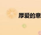 厚愛的意思解釋（厚愛的意思）