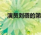 演員劉蓓的第二任丈夫（劉蓓現(xiàn)任丈夫）