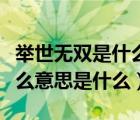 舉世無(wú)雙是什么意思解釋（舉世無(wú)雙的舉是什么意思是什么）