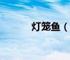 燈籠魚(yú)（說(shuō)一說(shuō)燈籠魚(yú)的簡(jiǎn)介）