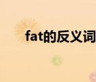 fat的反義詞英語單詞（fat的反義詞）