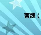 曹魏（說一說曹魏的簡介）