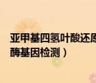 亞甲基四氫葉酸還原酶基因檢測(cè)cc型（亞甲基四氫葉酸還原酶基因檢測(cè)）