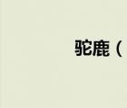 駝鹿（說一說駝鹿的簡介）