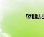 望峰息心全詩（望峰息心）