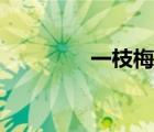 一枝梅花踏雪來（一枝梅）