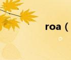 roa（說一說roa的簡介）