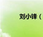 劉小鋒（說(shuō)一說(shuō)劉小鋒的簡(jiǎn)介）