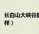 長白山大峽谷的旅游資源（長白山大峽谷怎么樣）