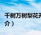 千樹萬(wàn)樹梨花開（說(shuō)一說(shuō)千樹萬(wàn)樹梨花開的簡(jiǎn)介）