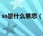 ss是什么意思（說(shuō)一說(shuō)ss是什么意思的簡(jiǎn)介）