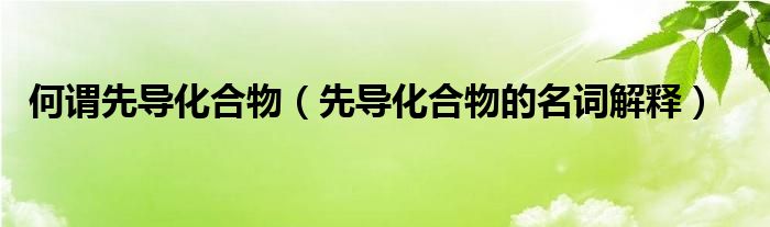 何謂先導(dǎo)化合物（先導(dǎo)化合物的名詞解釋）