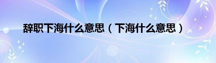 辭職下海什么意思（下海什么意思）