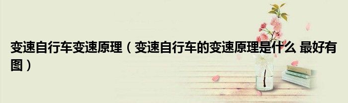 變速自行車(chē)變速原理（變速自行車(chē)的變速原理是什么 最好有圖）