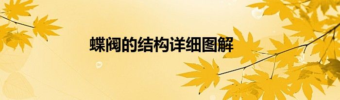 蝶閥的結(jié)構(gòu)詳細(xì)圖解