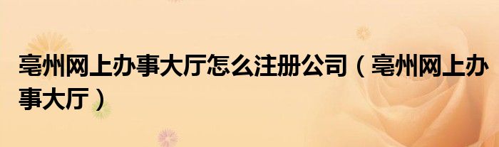亳州網(wǎng)上辦事大廳怎么注冊公司（亳州網(wǎng)上辦事大廳）