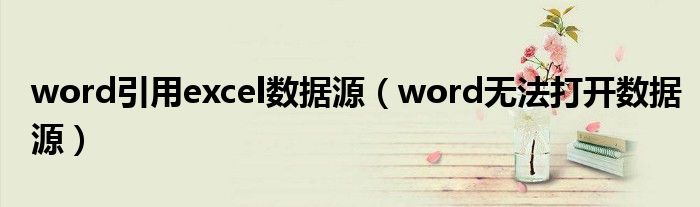 word引用excel數(shù)據(jù)源（word無法打開數(shù)據(jù)源）