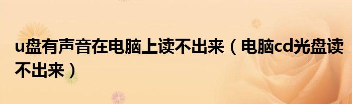 u盤有聲音在電腦上讀不出來（電腦cd光盤讀不出來）