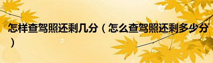 怎樣查駕照還剩幾分（怎么查駕照還剩多少分）