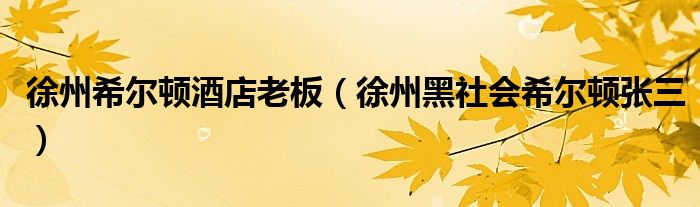 徐州希爾頓酒店老板（徐州黑社會希爾頓張三）