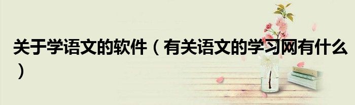 關(guān)于學(xué)語(yǔ)文的軟件（有關(guān)語(yǔ)文的學(xué)習(xí)網(wǎng)有什么）