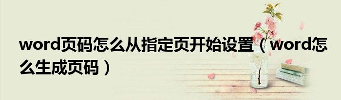 word頁碼怎么從指定頁開始設置（word怎么生成頁碼）