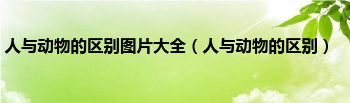 人與動(dòng)物的區(qū)別圖片大全（人與動(dòng)物的區(qū)別）