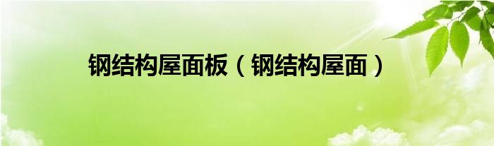 鋼結(jié)構(gòu)屋面板（鋼結(jié)構(gòu)屋面）