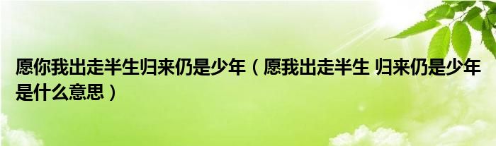 愿你我出走半生歸來仍是少年（愿我出走半生 歸來仍是少年是什么意思）