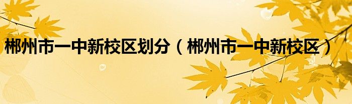 郴州市一中新校區(qū)劃分（郴州市一中新校區(qū)）