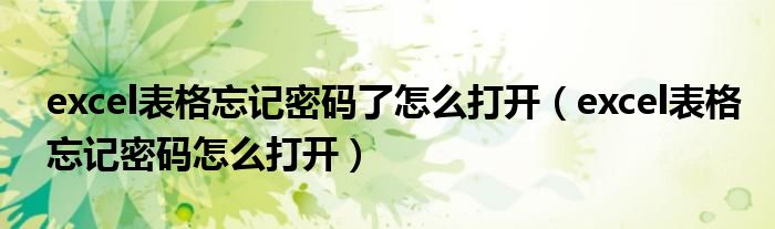 excel表格忘記密碼了怎么打開（excel表格忘記密碼怎么打開）