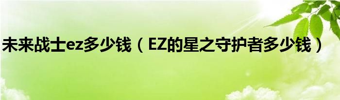 未來戰(zhàn)士ez多少錢（EZ的星之守護(hù)者多少錢）