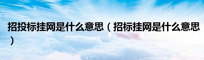 招投標(biāo)掛網(wǎng)是什么意思（招標(biāo)掛網(wǎng)是什么意思）