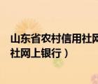 山東省農(nóng)村信用社網(wǎng)上銀行安全控件下載（山東省農(nóng)村信用社網(wǎng)上銀行）