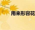 用來形容花的詞語（形容花的詞語）