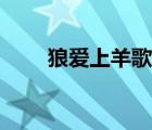 狼愛上羊歌詞配樂（狼愛上羊歌詞）
