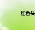 紅色頭像圖片（紅色頭像）