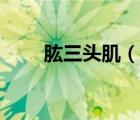 肱三頭?。ㄕf一說肱三頭肌的簡介）