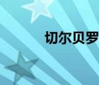 切爾貝羅個(gè)人簡歷（切爾貝羅）