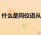 什么是同位語從句英語（什么是同位語從句）