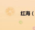 紅海（說一說紅海的簡介）