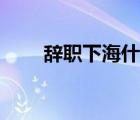 辭職下海什么意思（下海什么意思）