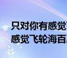 只對你有感覺飛輪海田馥甄mp3（只對你有感覺飛輪海百度云）