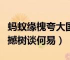 螞蟻緣槐夸大國(guó)的典故（螞蟻緣槐夸大國(guó)蚍蜉撼樹談何易）