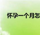懷孕一個月怎么流產(chǎn)（剛懷孕怎么流產(chǎn)）